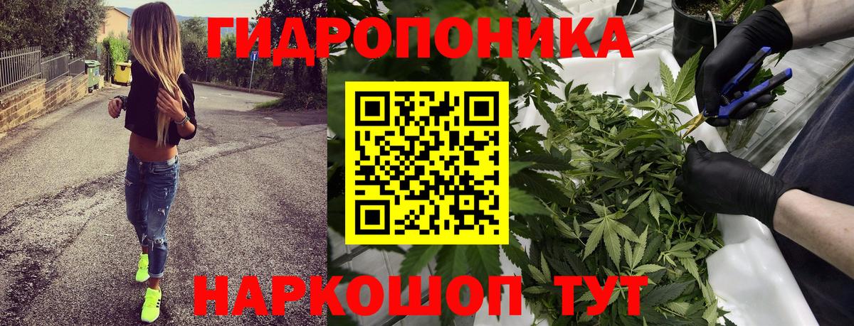 Канабис VHQ Новокубанск